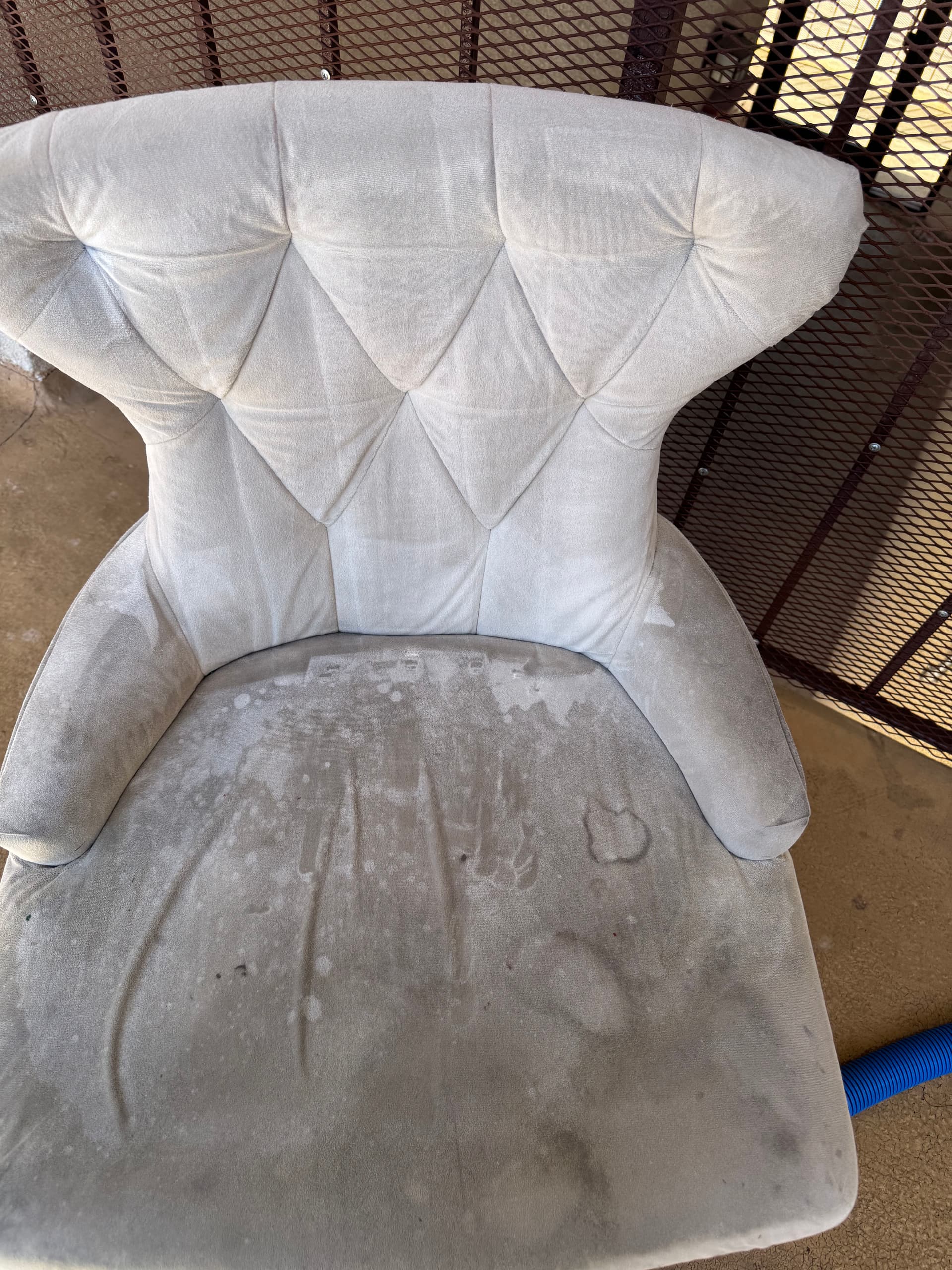 Gallery photos for Chair Upholstery Cleaning in Beverly Hills: Image #2