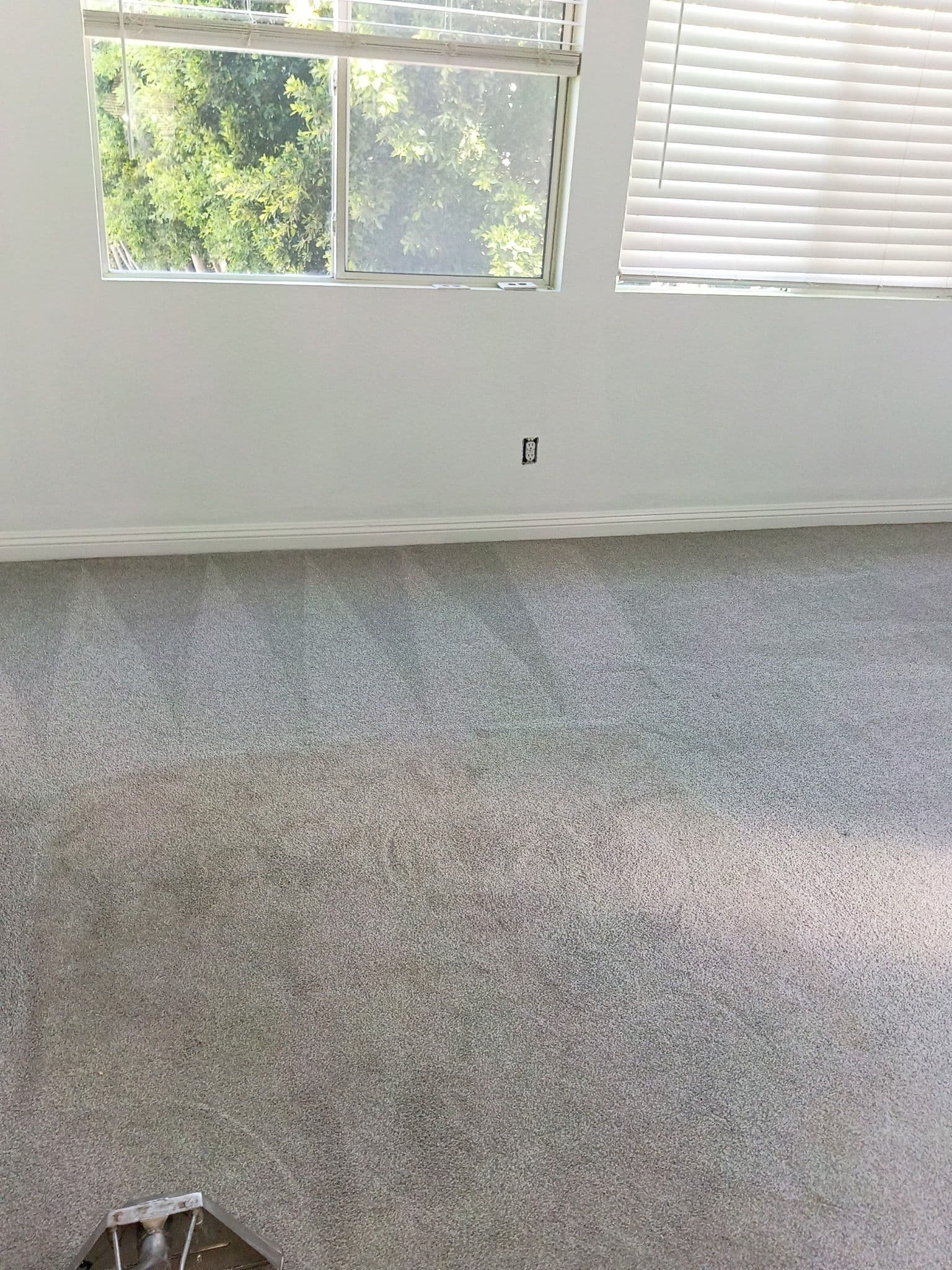 Project Carpet Cleaning in Thousand Oaks That Actually Shows Results image