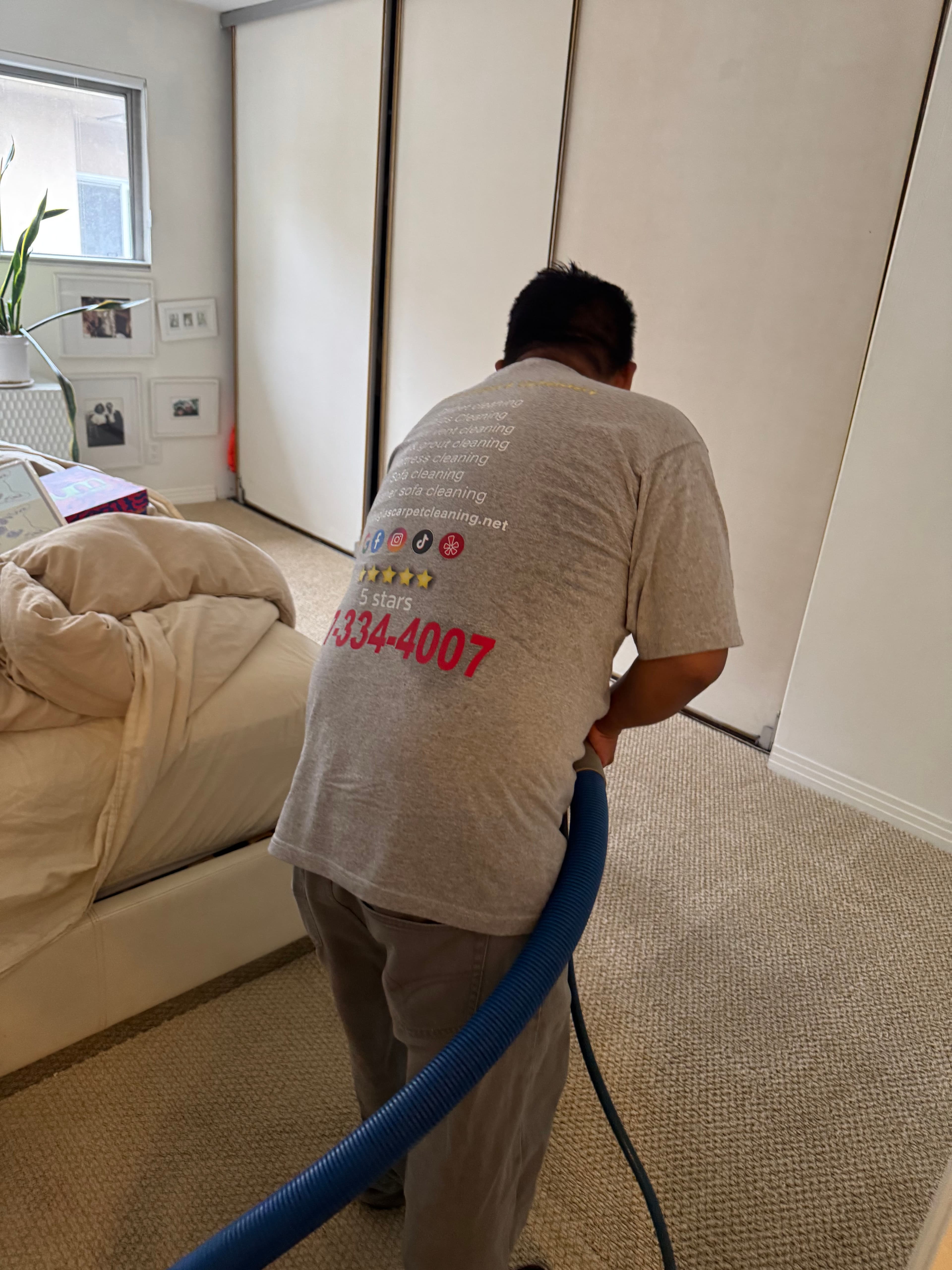 Project Expert Carpet Cleaning in Van Nuys image