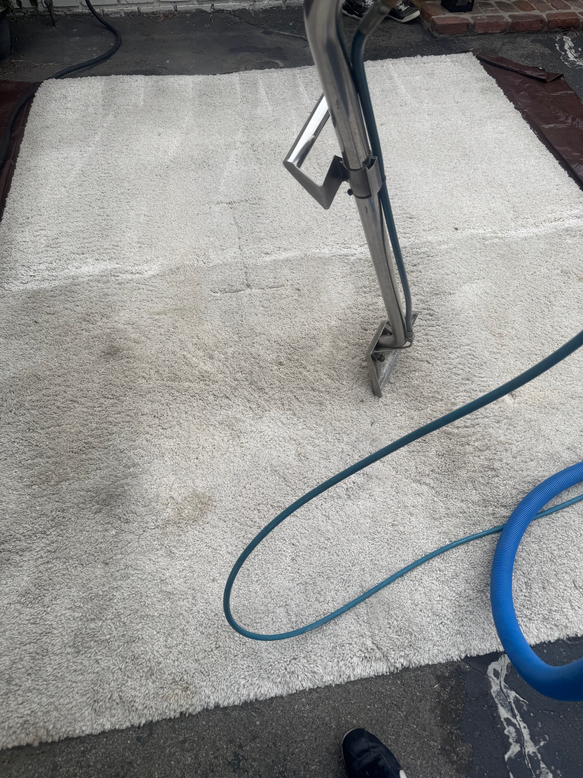 Deep Rug Cleaning Done Right in Thousand Oaks image