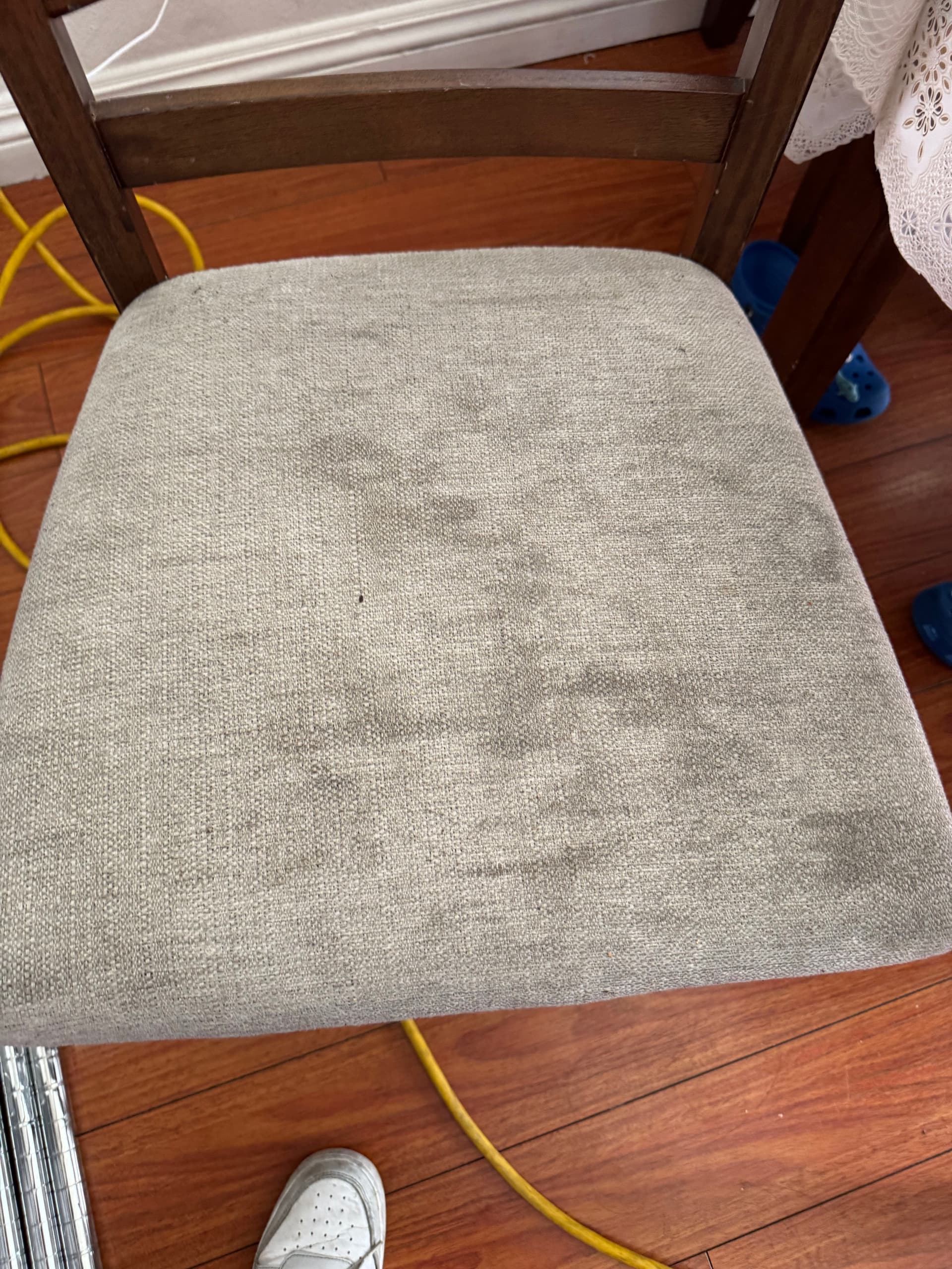Dining Chair Upholstery Cleaning in Van Nuys image
