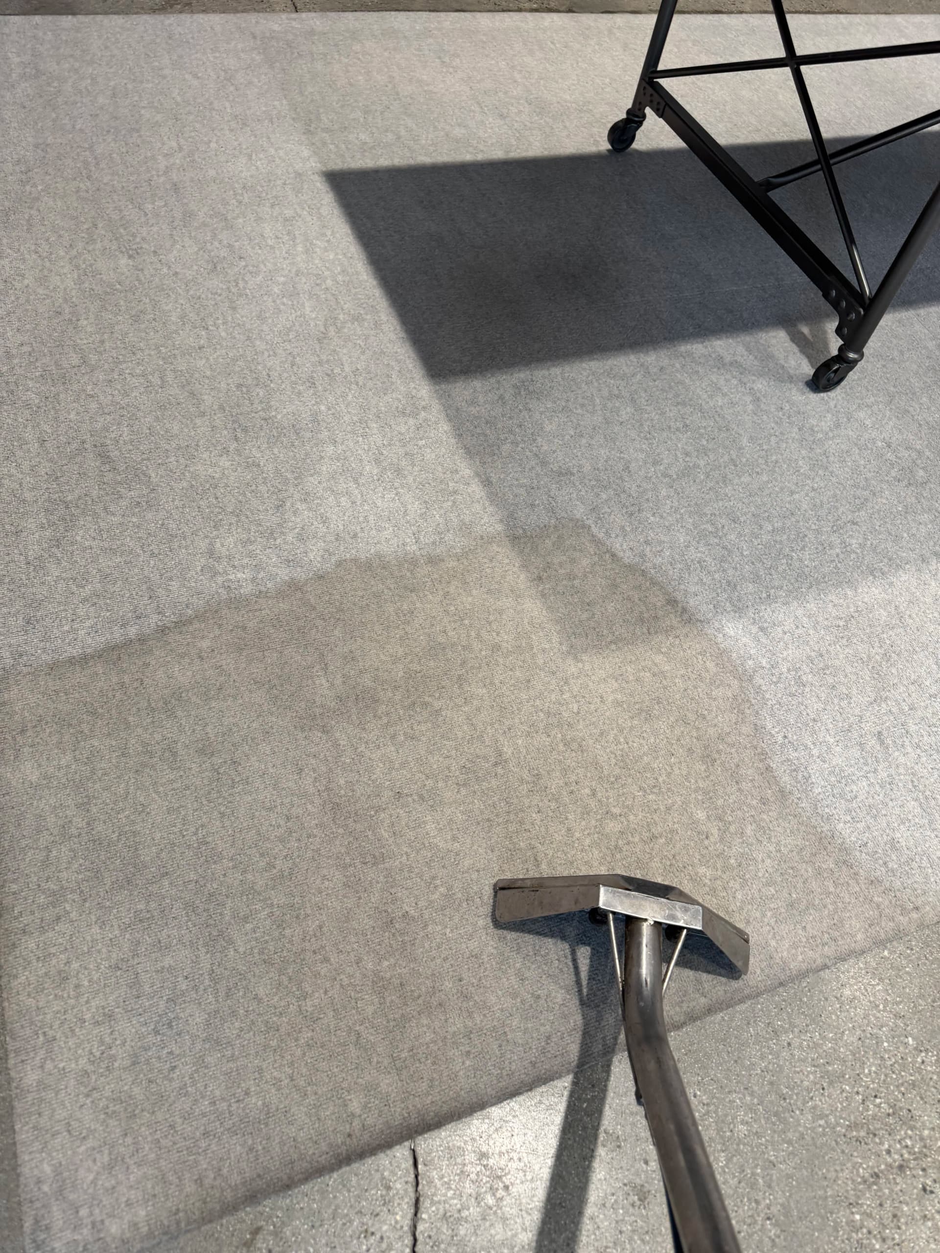 Deep Cleaned Rugs Looking Fresh Again in Malibu image