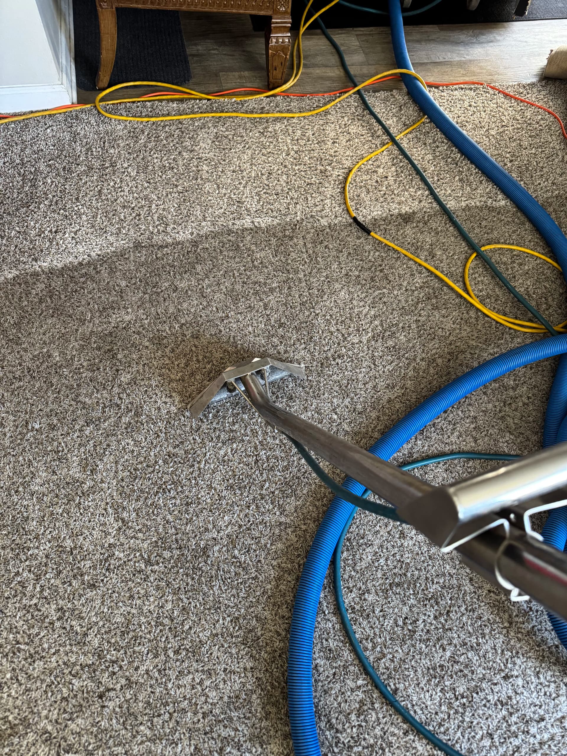 Gallery photos for Carpet Cleaning in Oxnard That Actually Pulls the Dirt Out: Image #2