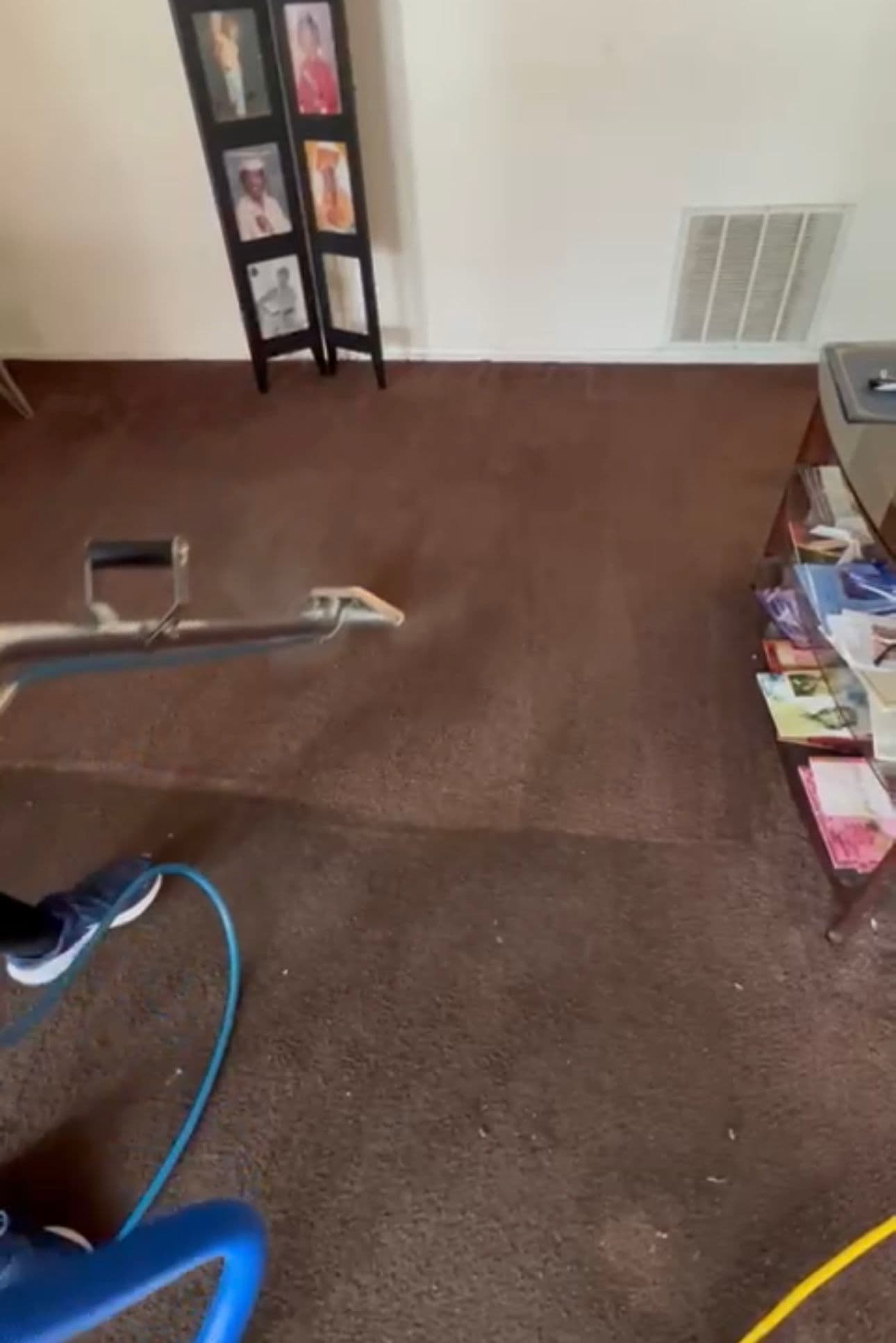 Project Carpet Cleaning in Malibu image