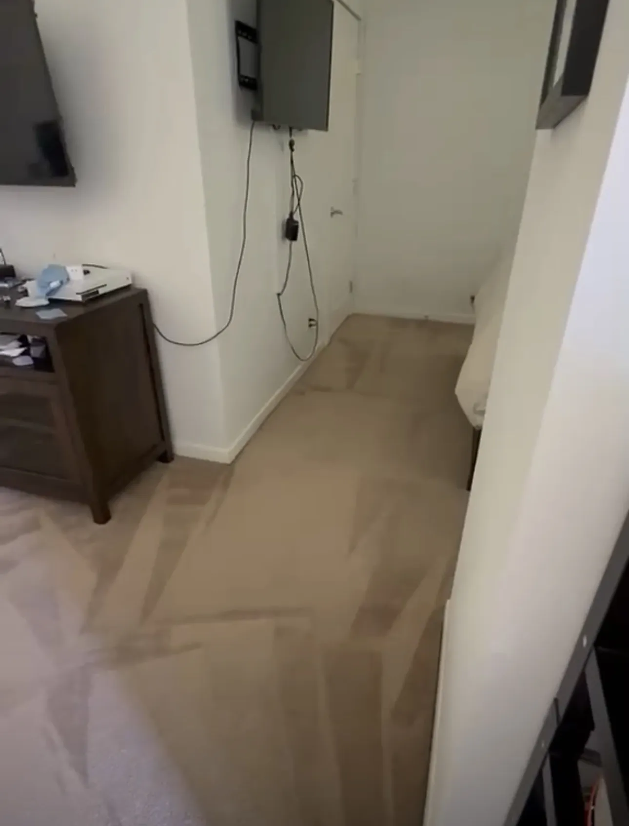 Gallery photos for Deep Carpet Cleaning That Actually Works in Van Nuys: Image #2