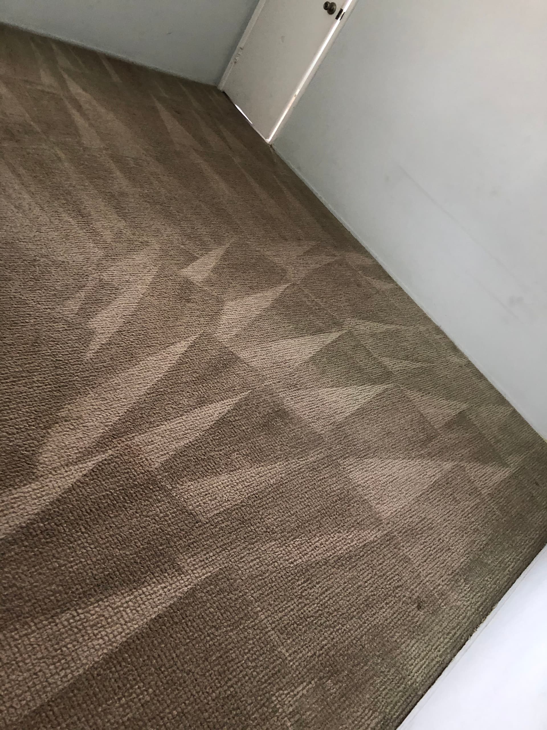 Gallery photos for A Fresh Start for Carpets in Van Nuys: Image #3