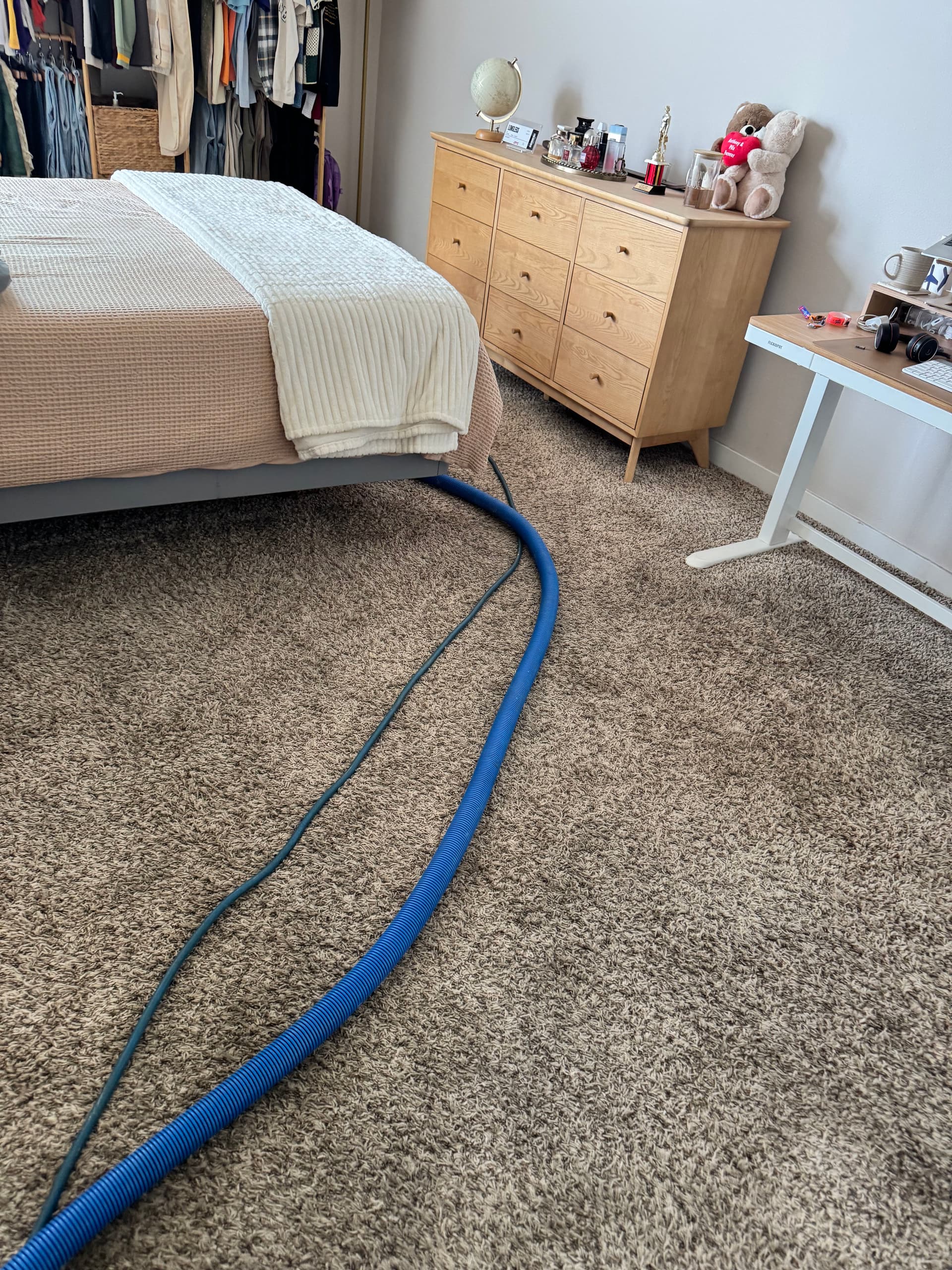 Bedroom Carpet Cleaning Done Right in Van Nuys image