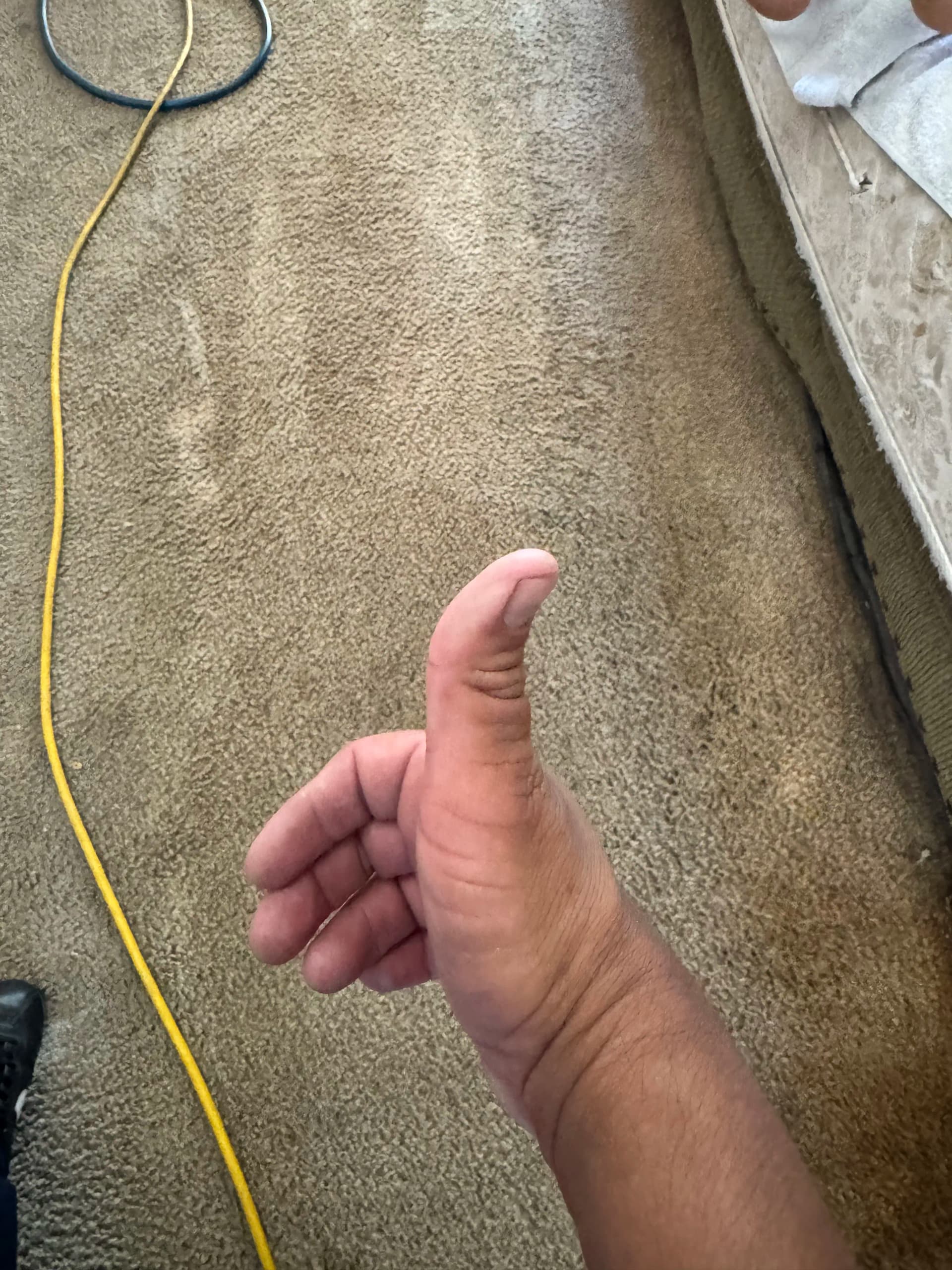 Gallery photos for Deep Carpet Cleaning Pulls Years of Dirt in Canoga Park: Image #3