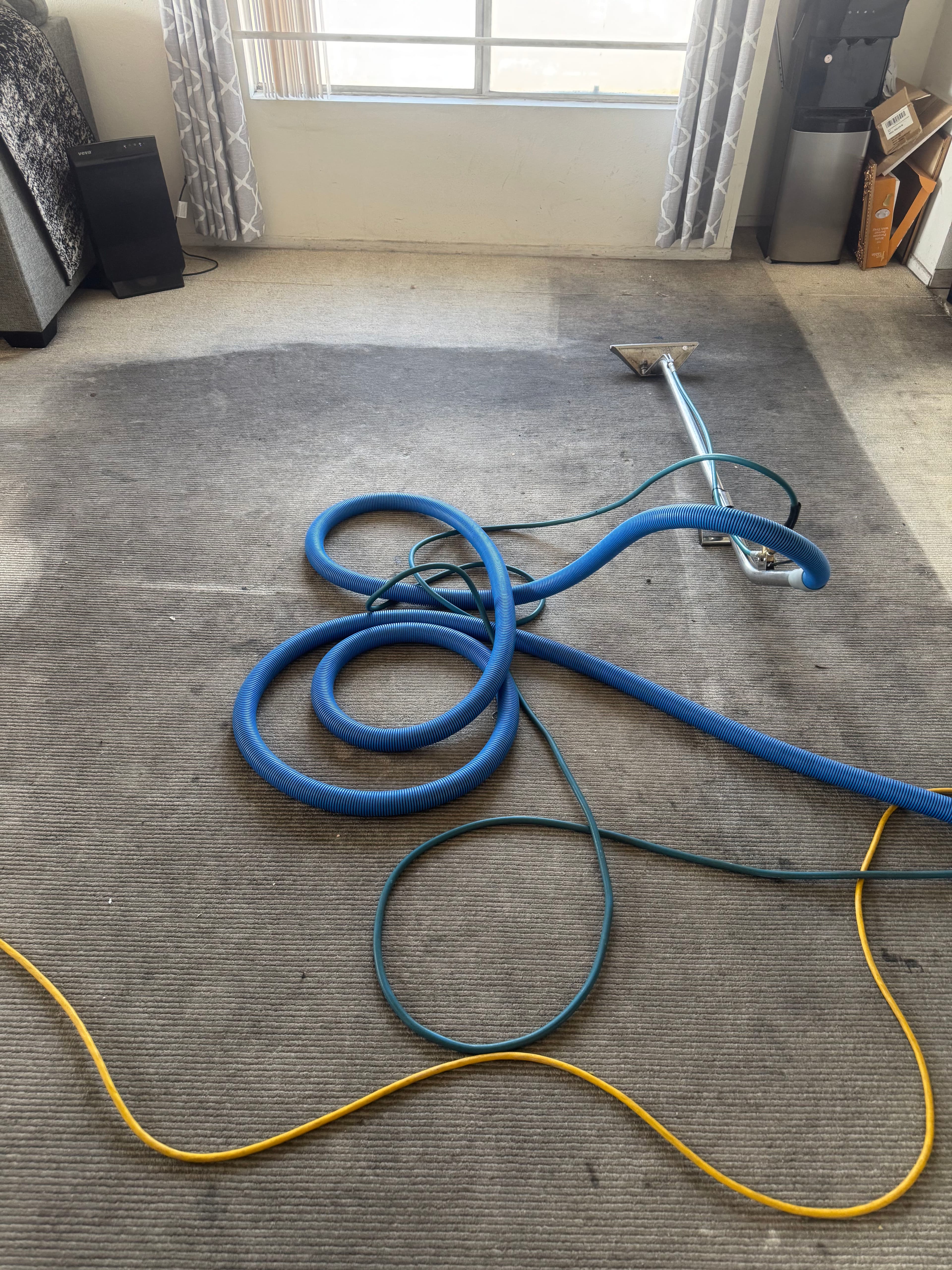 Project Bringing Life Back to Carpets in Pasadena image