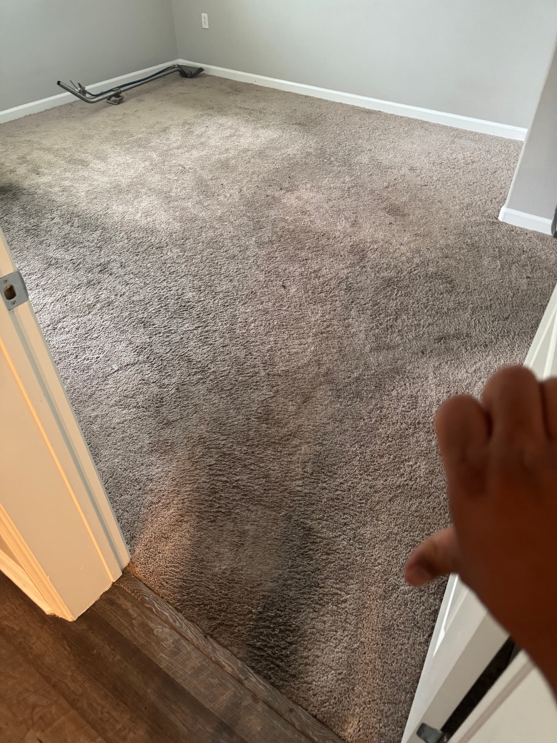 Deep Carpet Cleaning Done Right in Los Angeles image