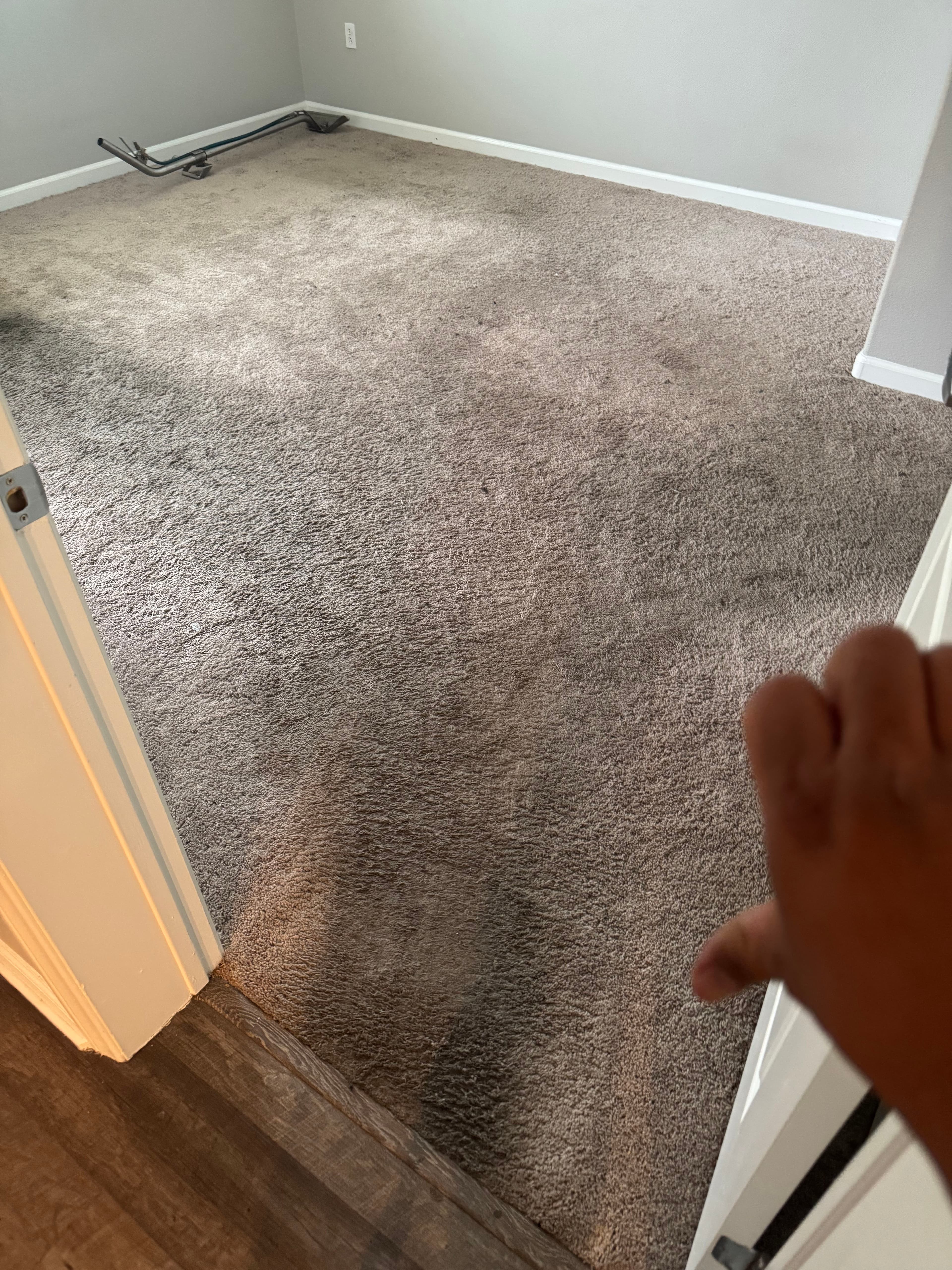 Project Deep Carpet Cleaning Done Right in Los Angeles image