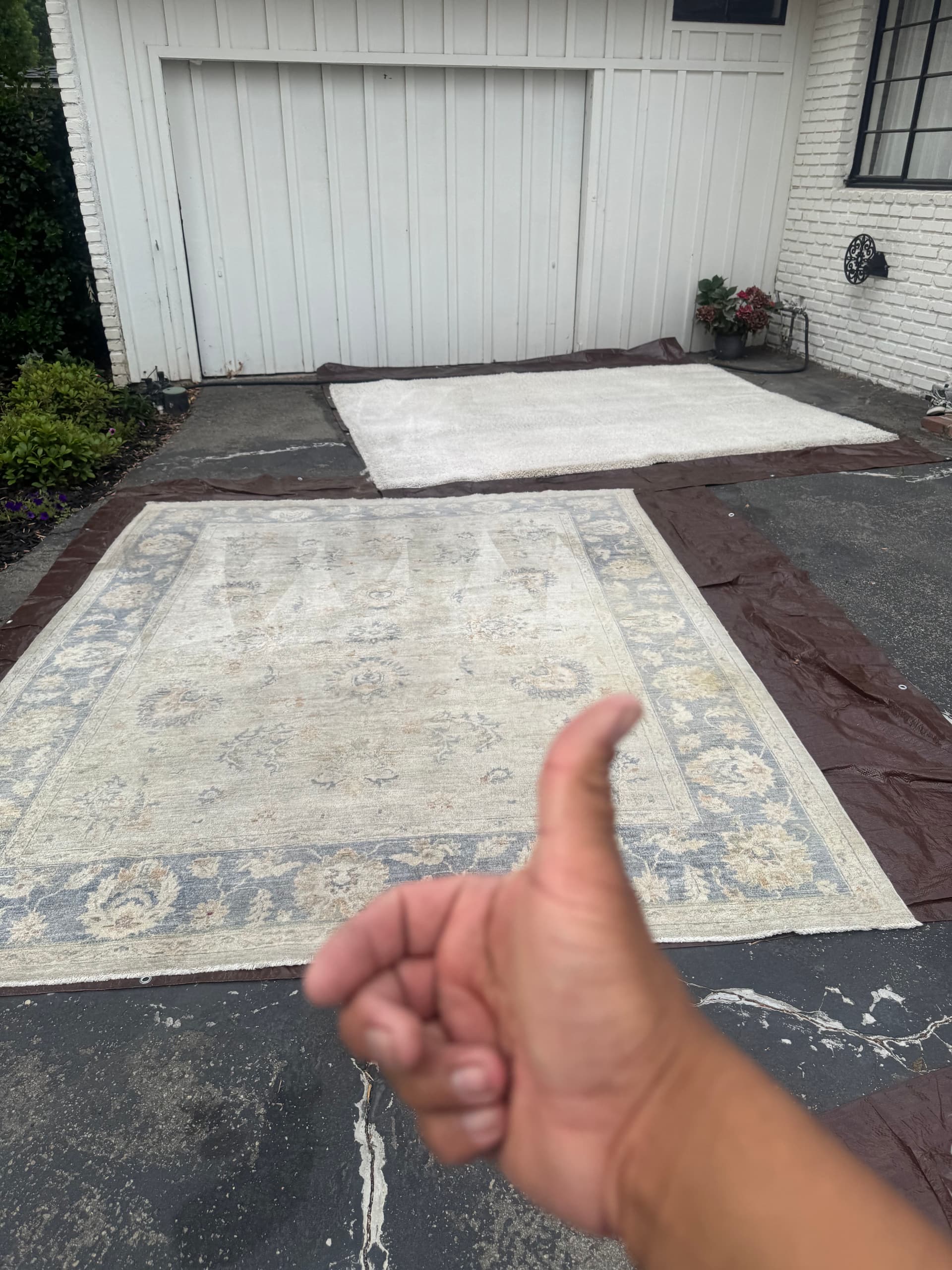 Gallery photos for Deep Rug Cleaning Done Right in Thousand Oaks: Image #1