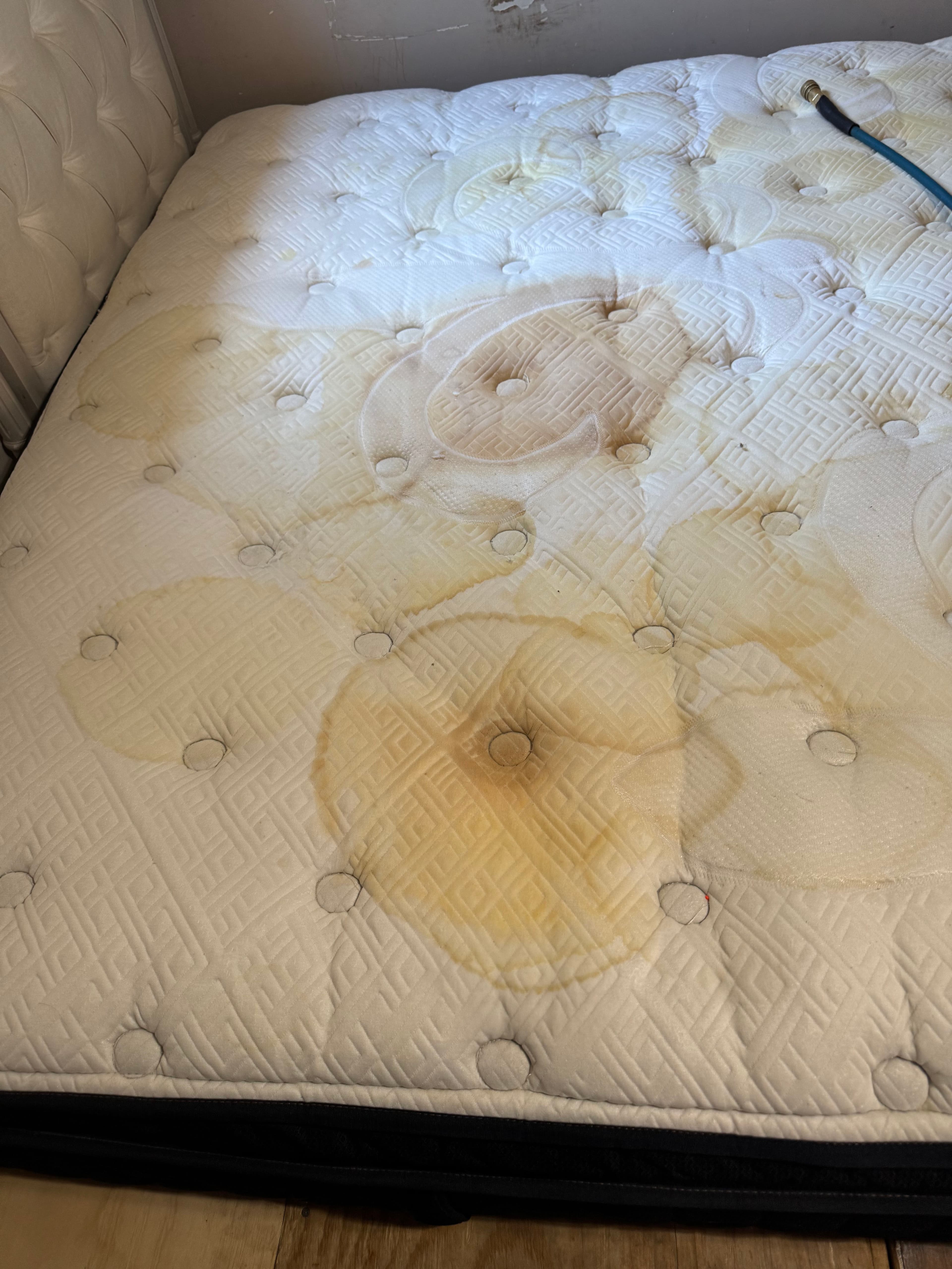 Project Mattress Revival in Marina del Rey image