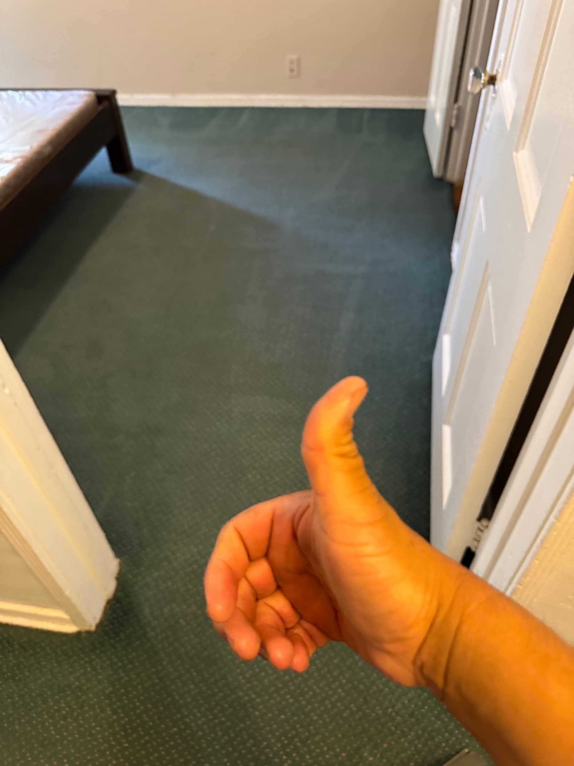 Gallery photos for Deep Carpet Cleaning Done Right in Simi Valley: Image #2