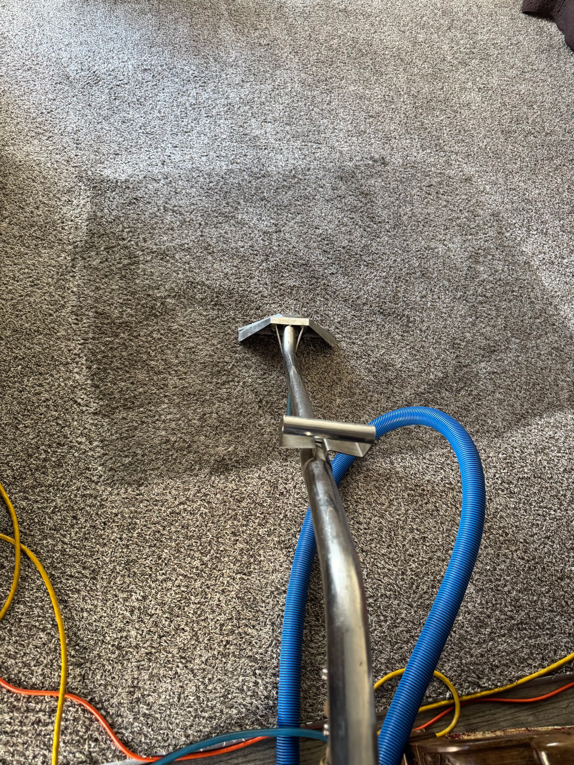 Carpet Cleaning in Oxnard That Actually Pulls the Dirt Out image