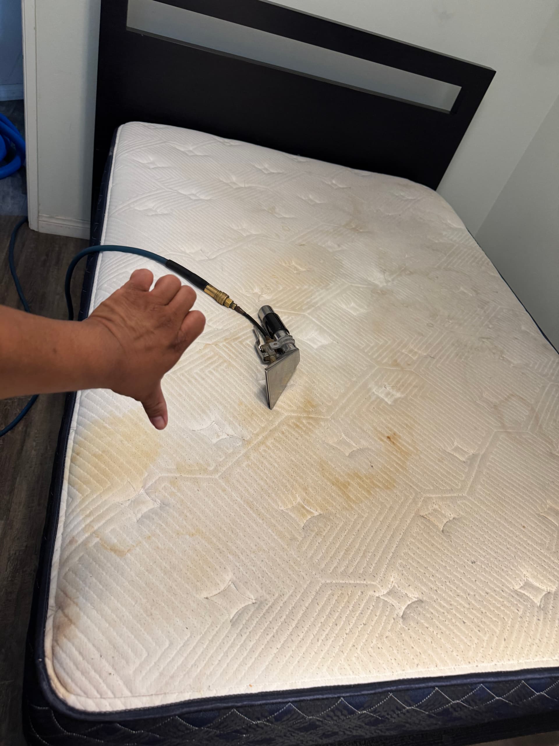 Mattress Cleaning Done Right in Marina del Rey image