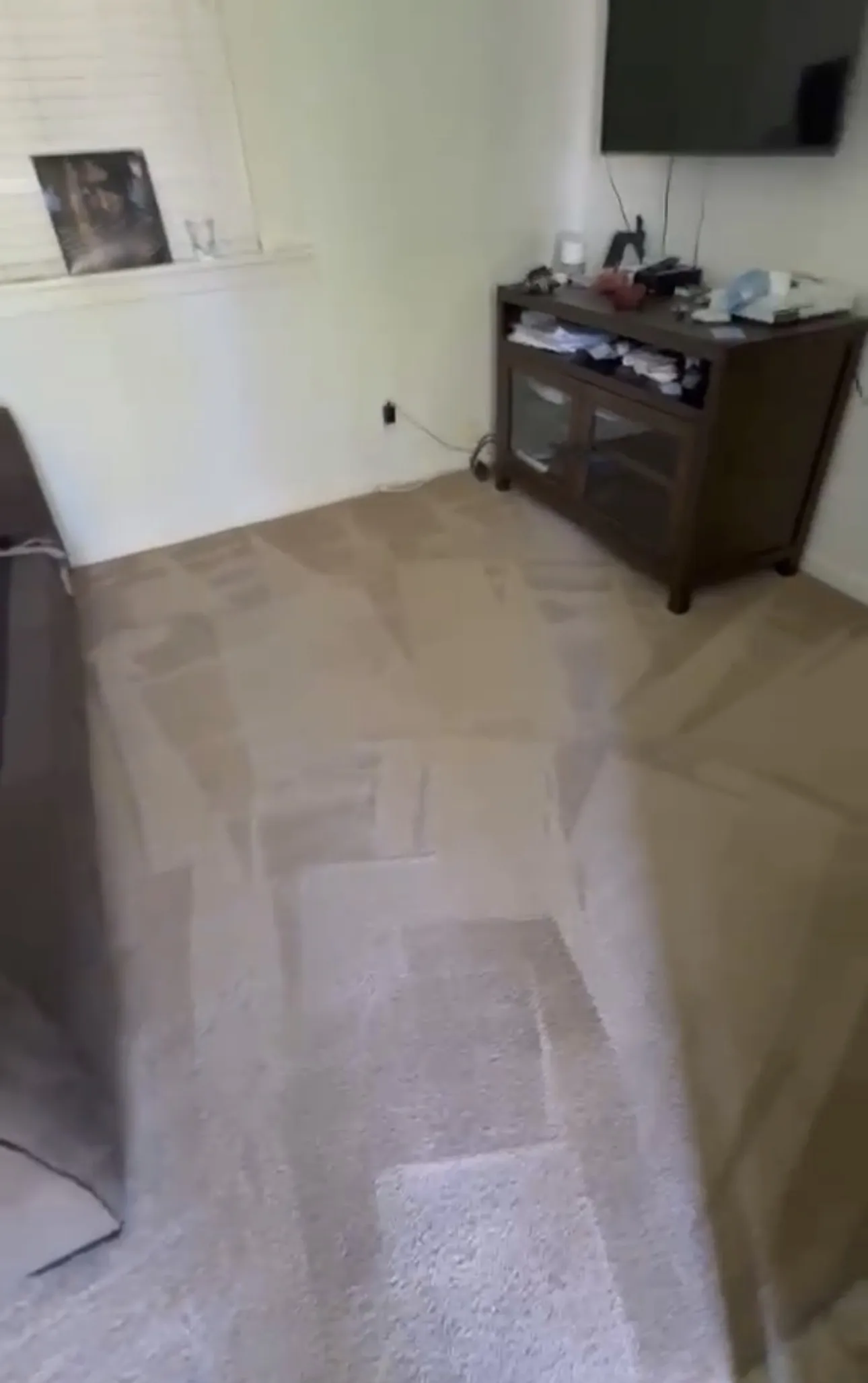 Gallery photos for Deep Carpet Cleaning That Actually Works in Van Nuys: Image #3