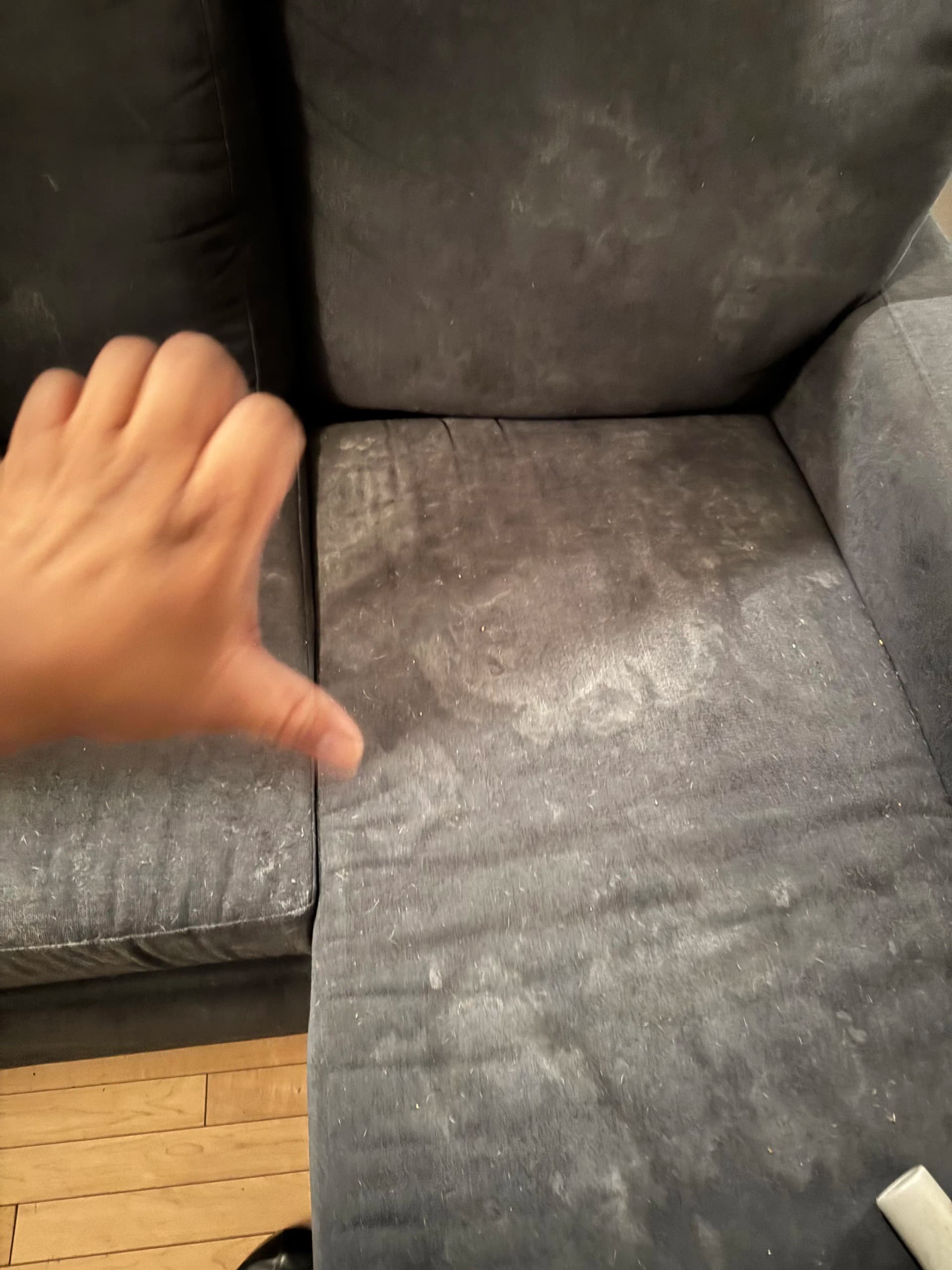 Sherman Oaks Sofa Cleaning That Actually Made a Difference image
