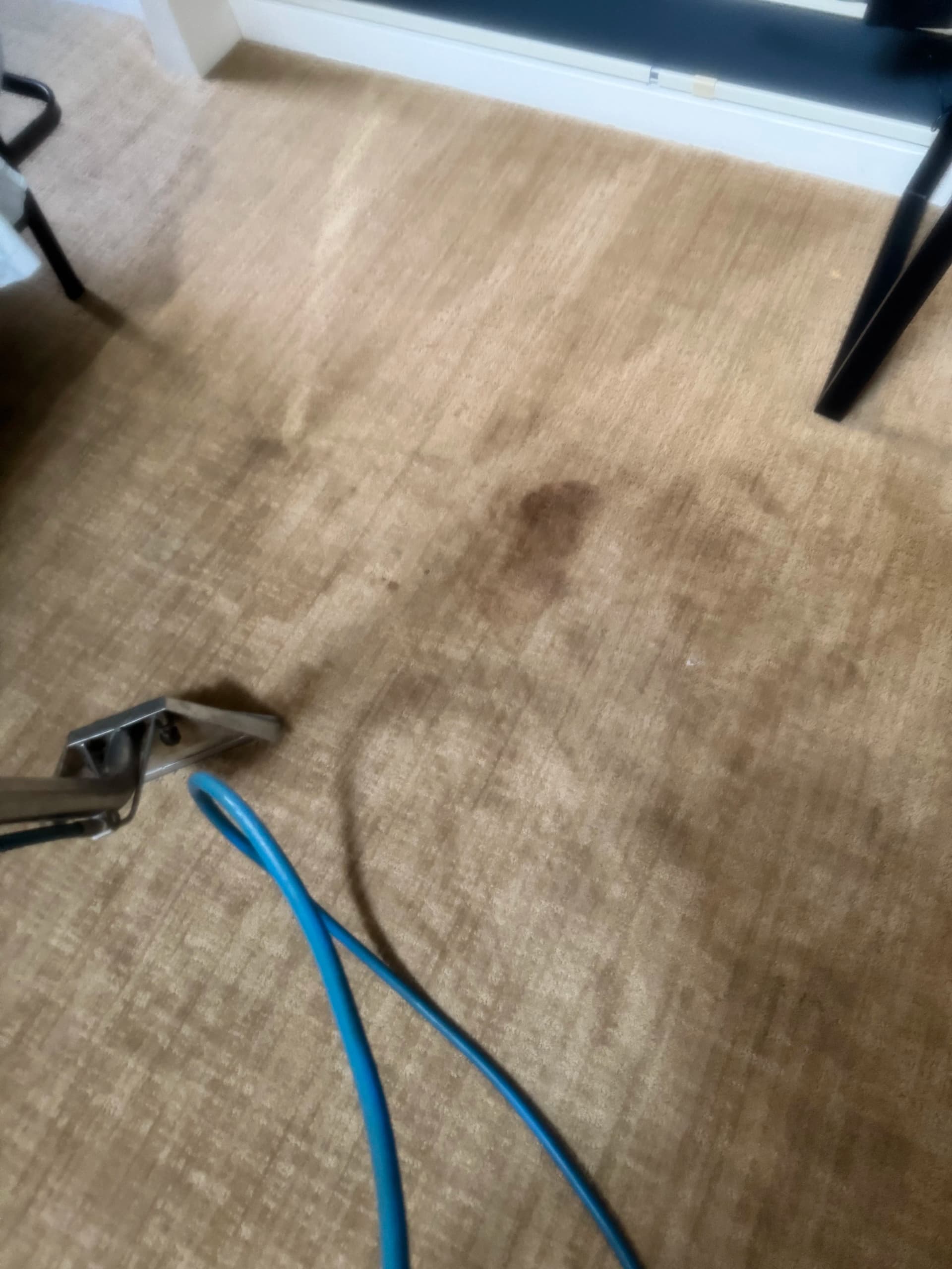 Gallery photos for Carpet and Upholstery Cleaning Done Right in Thousand Oaks: Image #2
