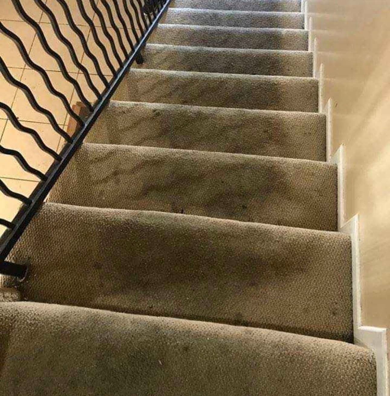 Project Deep carpet cleaning on stairs and hallway in pasadena image