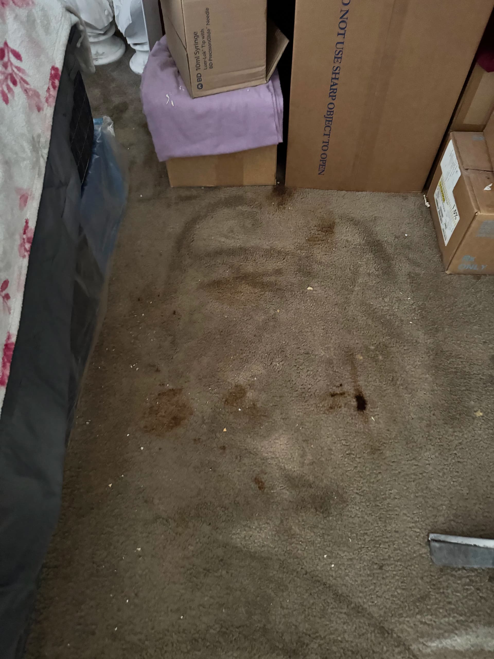 Gallery photos for Deep Carpet Cleaning Pulls Years of Dirt in Canoga Park: Image #2