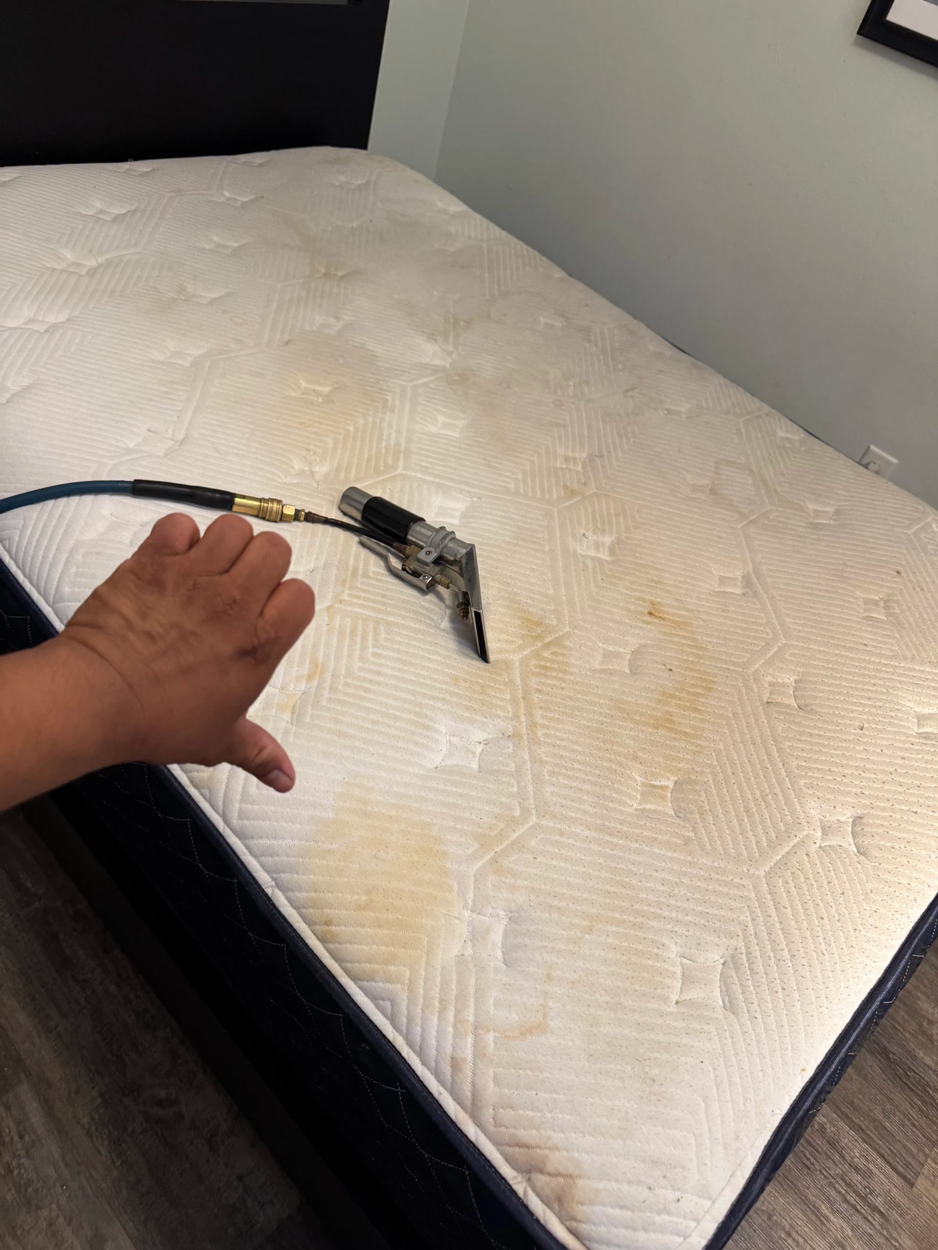Mattress Cleaning Done Right in Pasadena image