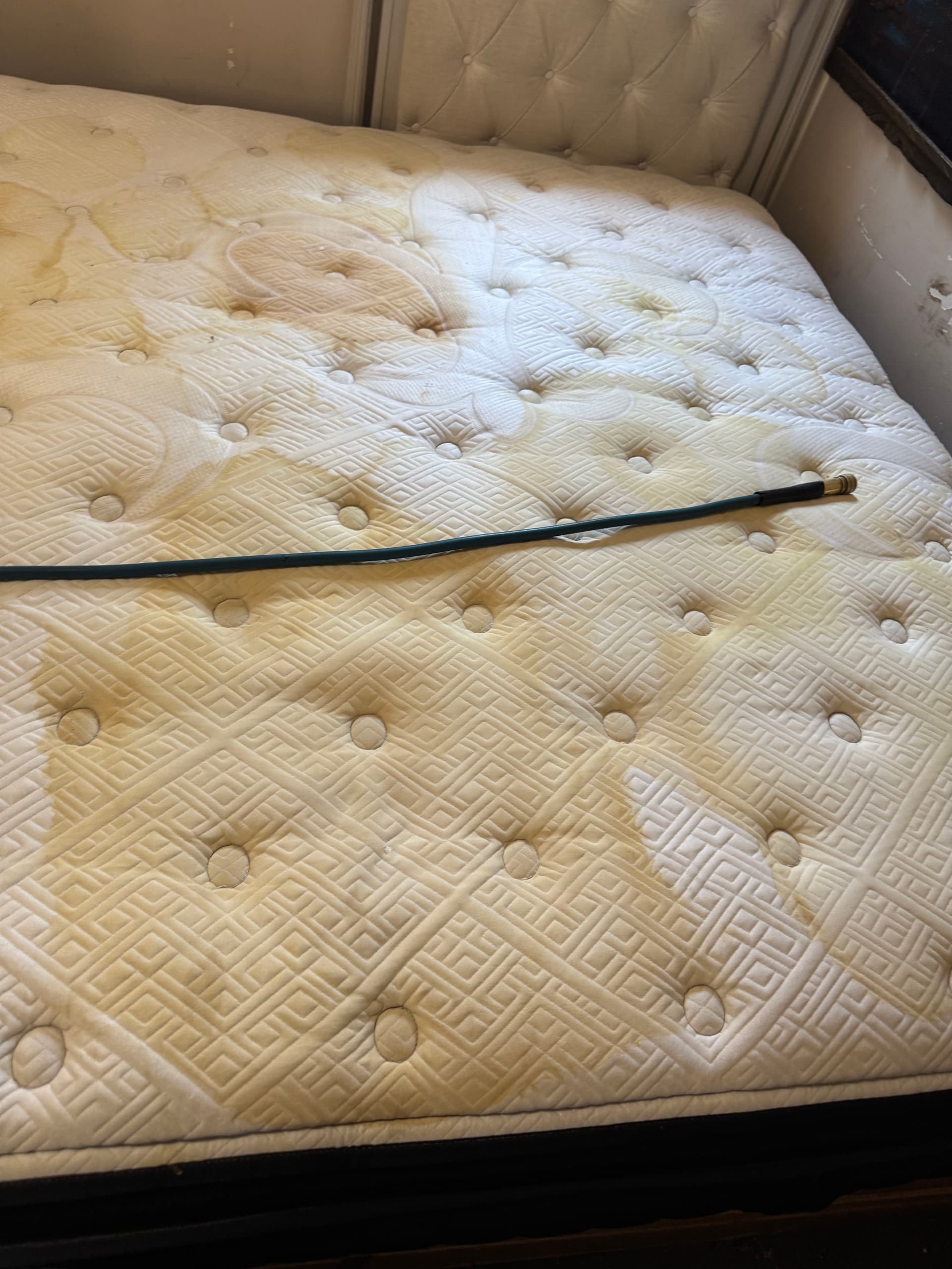 Gallery photos for Mattress Revival in Marina del Rey: Image #3