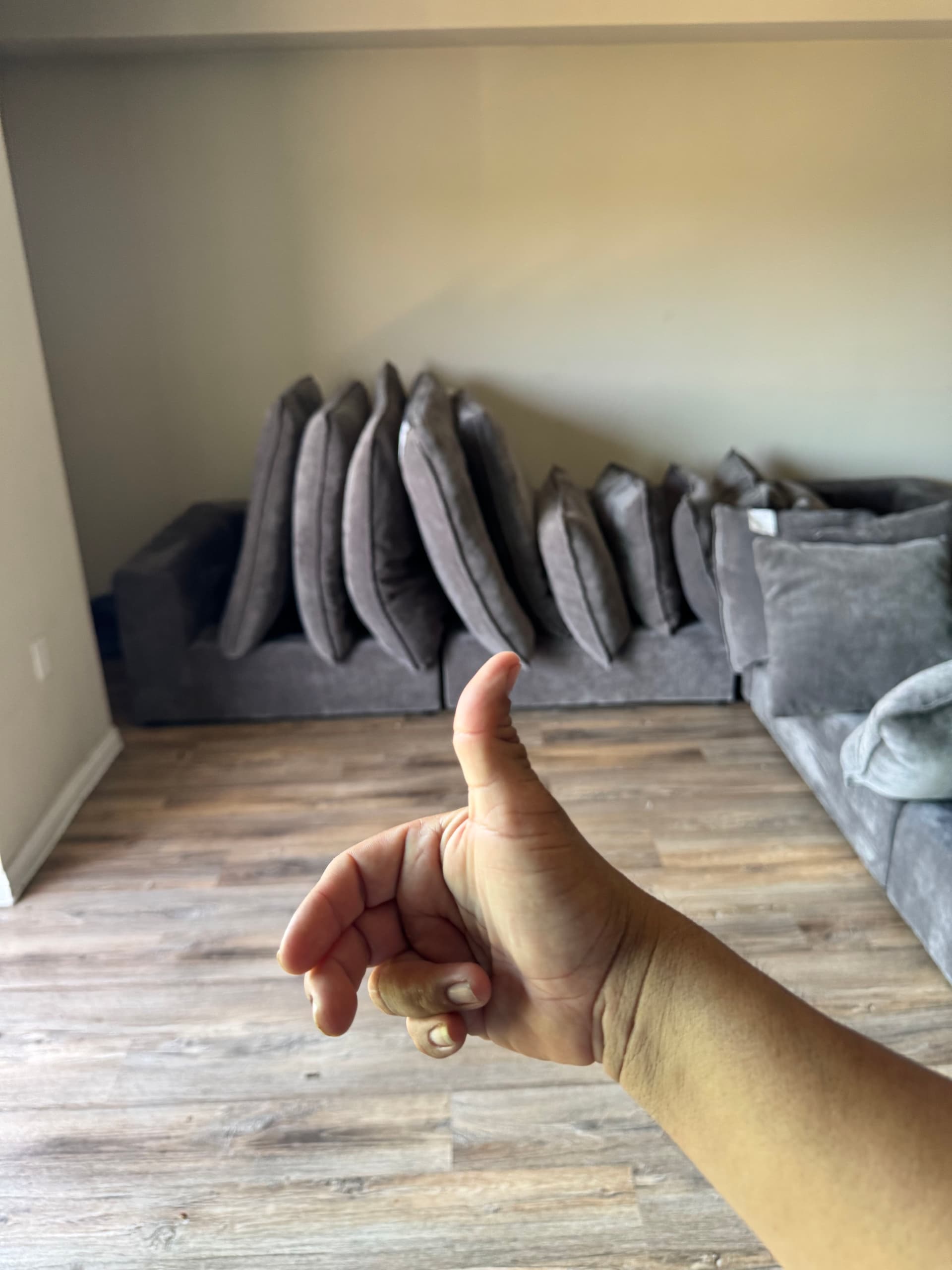 Gallery photos for Large Sectional Sofa Cleaning in Van Nuys: Image #1