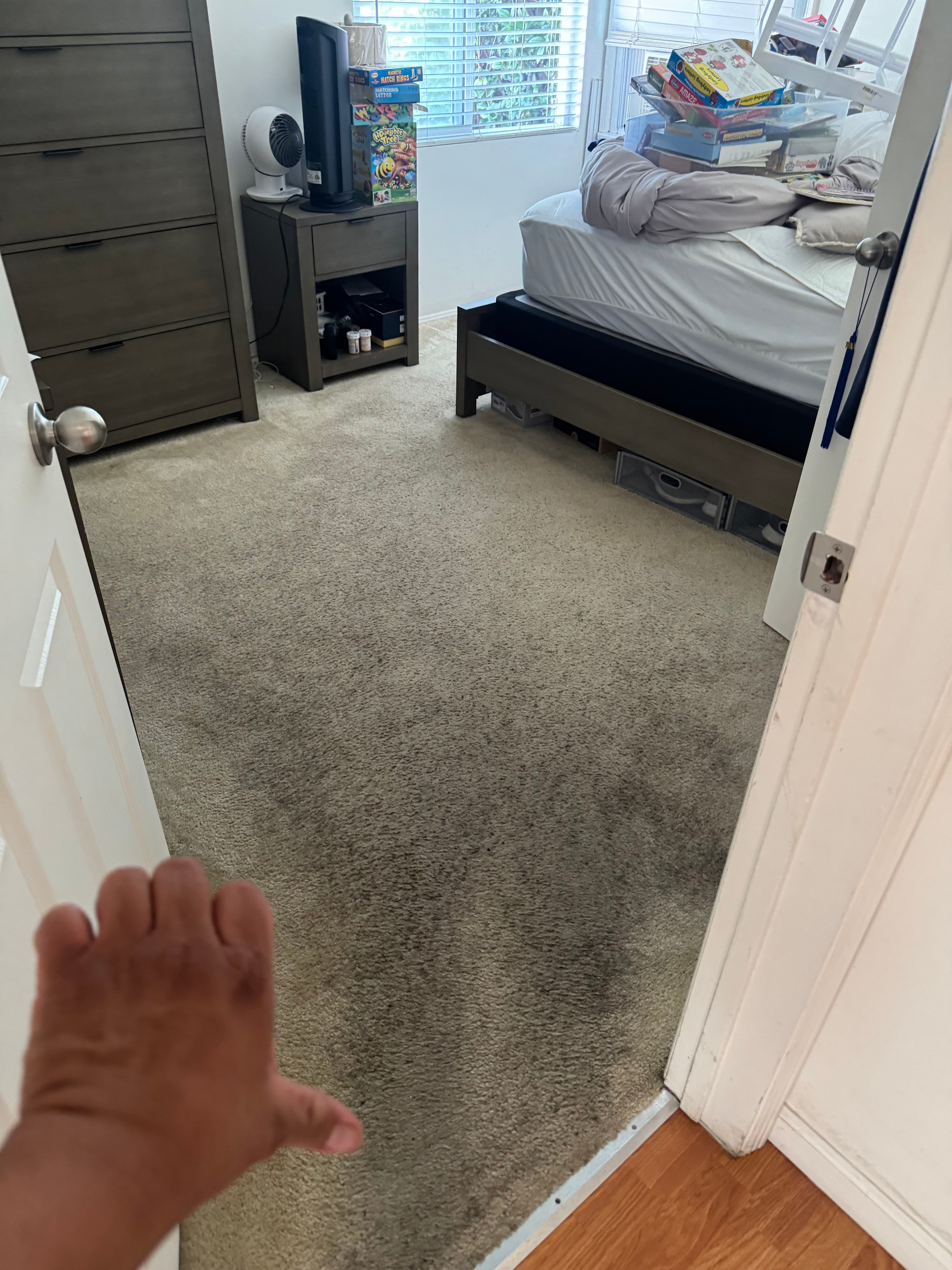 Project Carpet Cleaning Magic in Los Angeles image