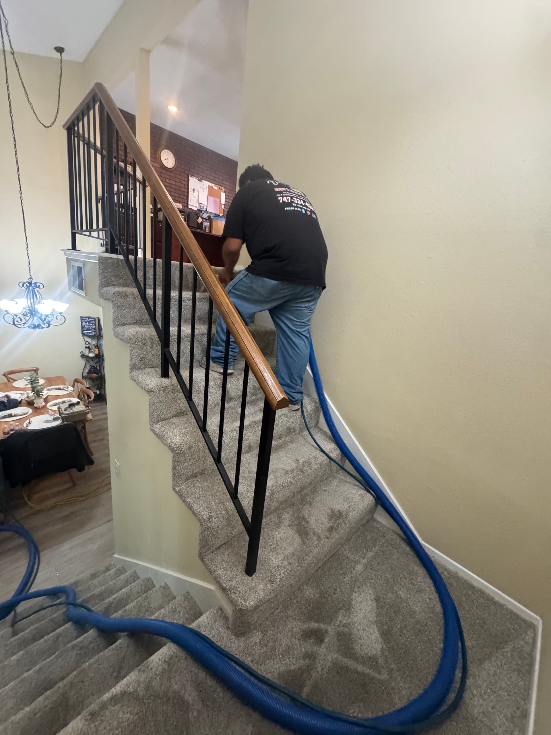 Gallery photos for Bedroom and Stair Carpet Cleaning in Van Nuys: Image #3