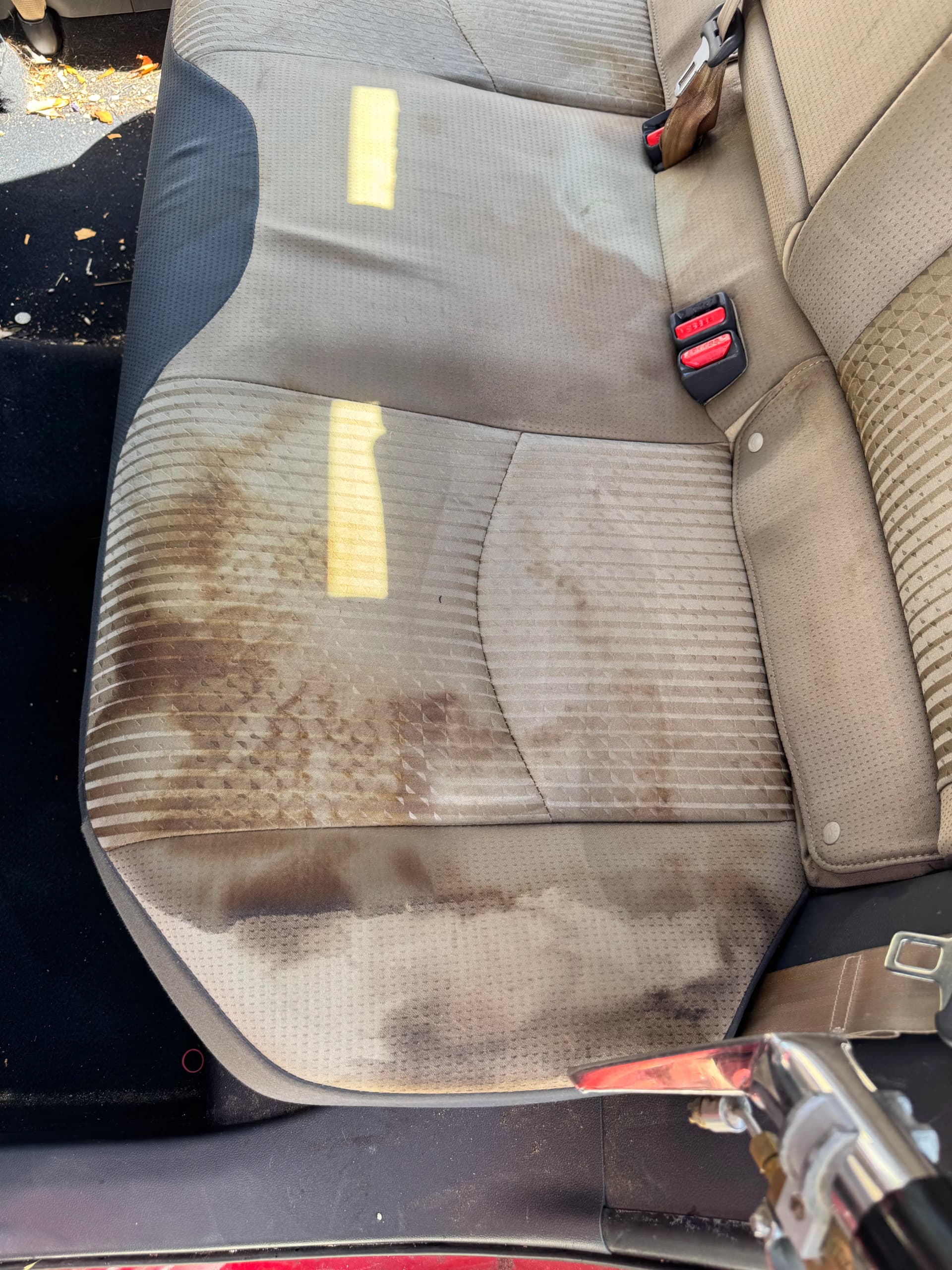Gallery photos for Car Upholstery Cleaning That Actually Gets the Grime Out: Image #1
