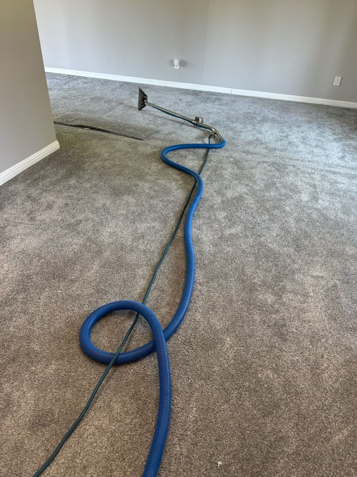 Carpet Transformation with Expert Cleaning in Encino image
