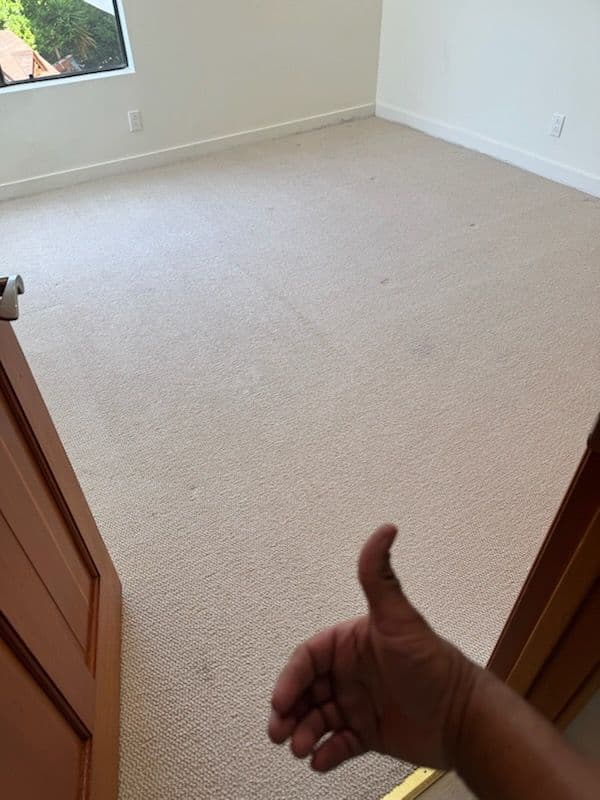 Transformed Living Spaces with Expert Carpet Cleaning