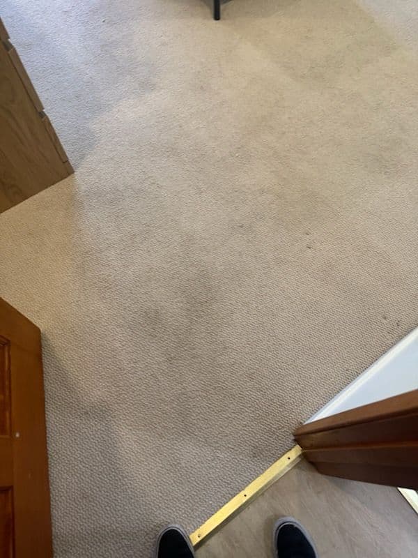 Gallery photos for Transformed Living Spaces with Expert Carpet Cleaning: Image #2