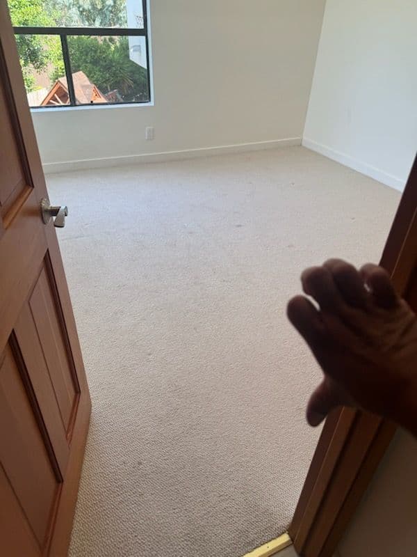 Gallery photos for Transformed Living Spaces with Expert Carpet Cleaning: Image #3