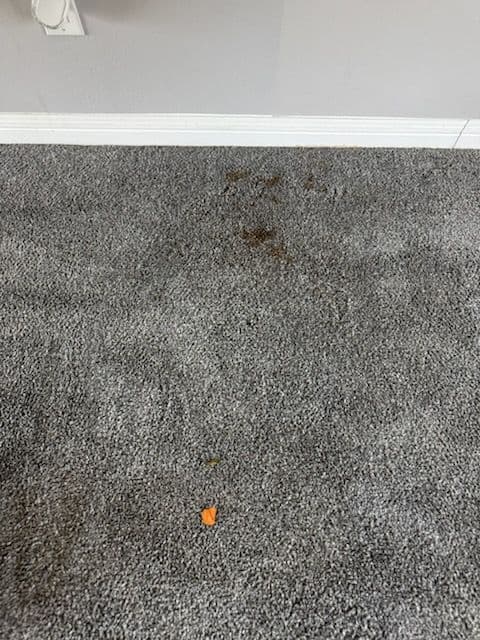 Gallery photos for Revitalized Carpets in North Hollywood: Image #2