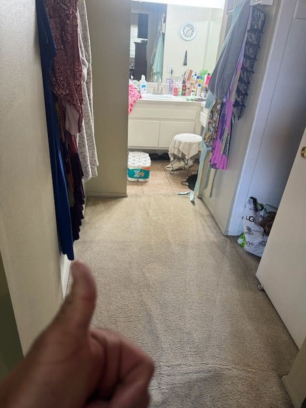 Stunning Carpet Transformation in Pacific Palisades image