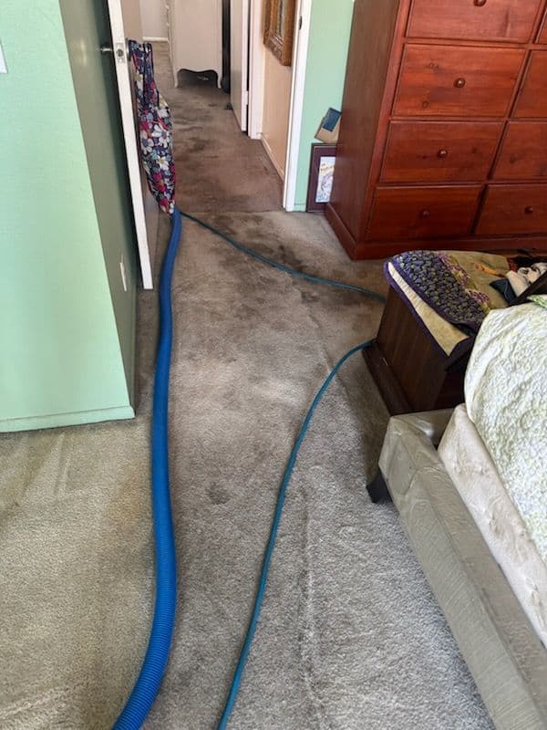 Gallery photos for Stunning Carpet Transformation in Pacific Palisades: Image #1