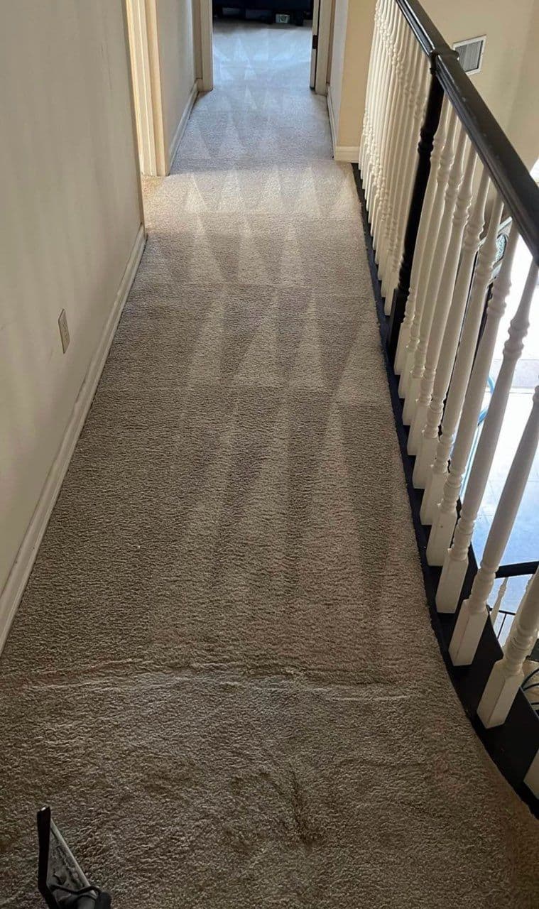 Transform Your Carpets with Expert Cleaning image