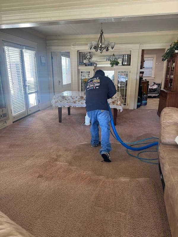 Gallery photos for Transform Your Carpets with Expert Cleaning: Image #2