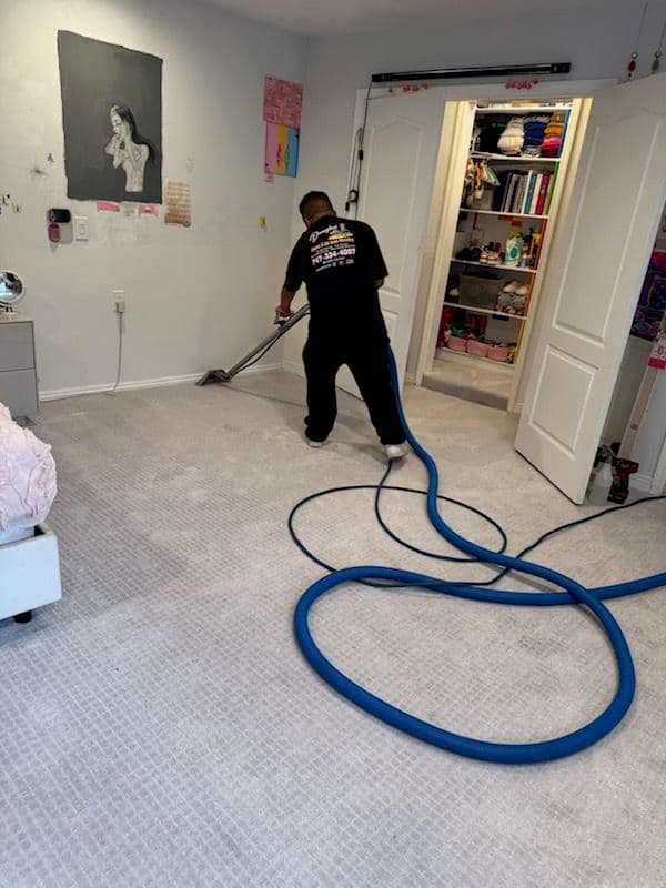 Project Santa Clarita's Premier Carpet Cleaning Experts image
