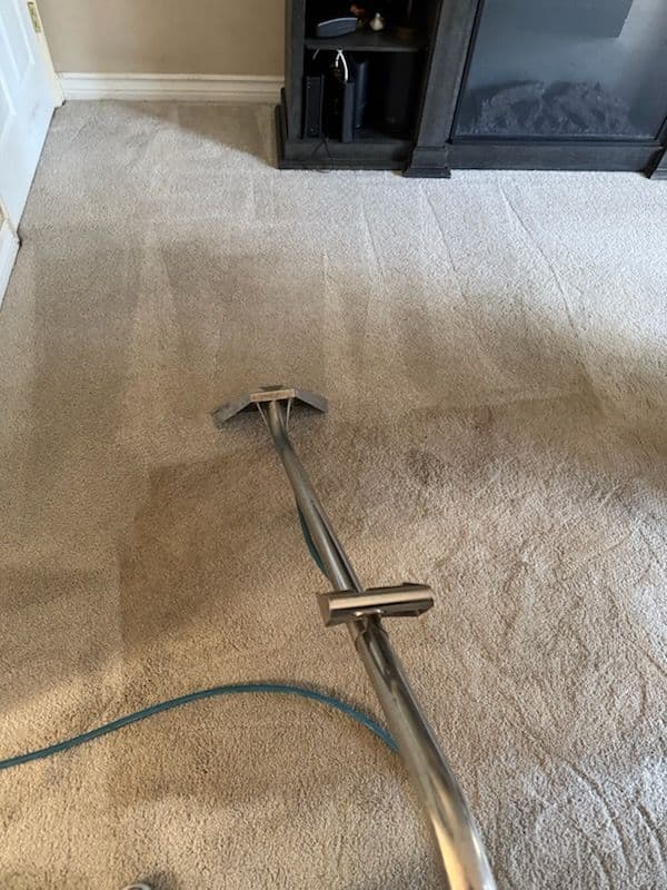 Office Transformation with Expert Carpet Cleaning image