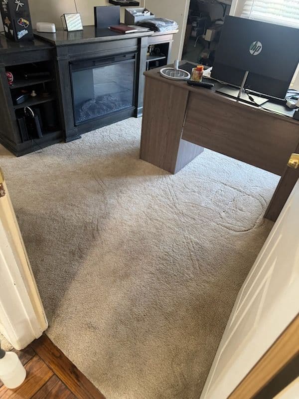 Gallery photos for Office Transformation with Expert Carpet Cleaning: Image #3