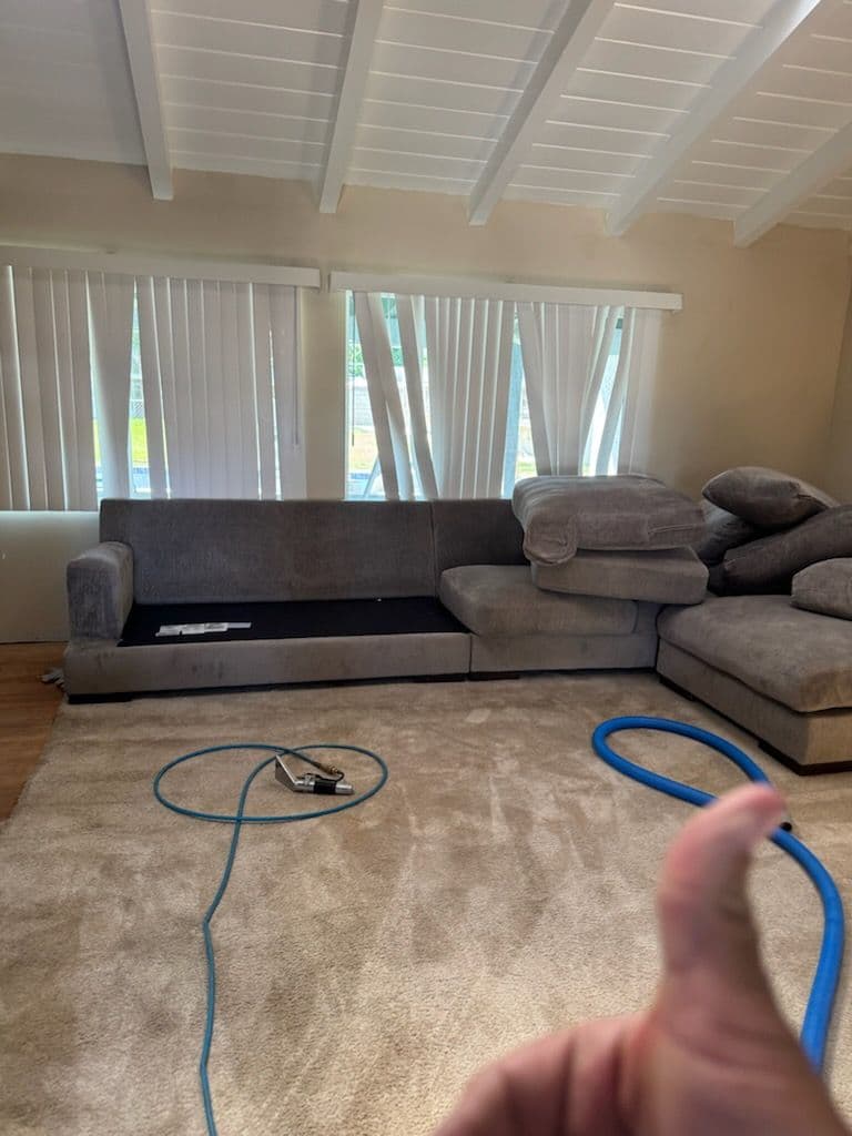Project Rejuvenate Your Living Room with Expert Cleaning image