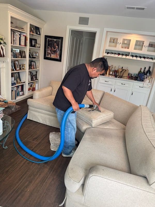 Refresh Your Sofa with Expert Cleaning in Santa Clarita image
