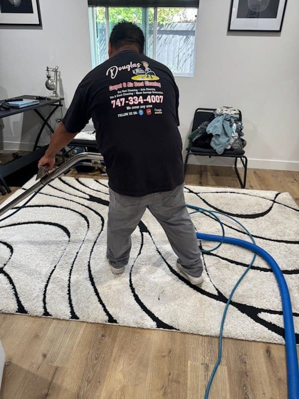 Project Spotless Rugs in Malibu image
