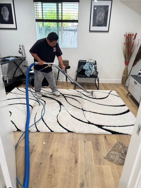 Gallery photos for Spotless Rugs in Malibu: Image #2