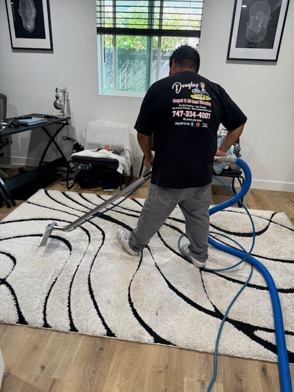 Gallery photos for Spotless Rugs in Malibu: Image #3