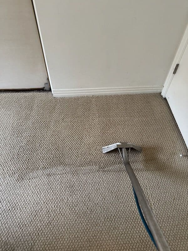 Project Fresh and Clean Carpets in Los Angeles Home image