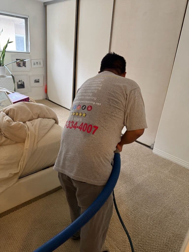 Gallery photos for Fresh and Clean Carpets in Los Angeles Home: Image #1